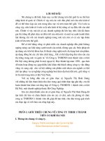 GIỚI THIỆU CHUNG VỀ CÔNG TY THHH 1 THÀNH VIÊN CƠ KHÍ HÀ NỘI.doc