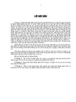 Quá trình hình thành, phát triển công ty cổ phần và vai trò của nó trong nền kinh tế Việt Nam .DOC