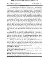 Hoàn thiện hạch toán tiêu thụ và xác định kết quả tiêu thụ hàng hoá  tại Công ty cổ phần giải pháp  mạng và phân phối máy tính .DOC