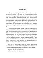 Cổ phần hoá doanh nghiệp Nhà nước Việt Nam thực trạng và giải pháp.DOC