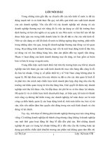 Hoàn thiện hạch toán kế toán bán hàng hóa tại công ty cổ phần thiết bị y tế Việt Nam .DOC