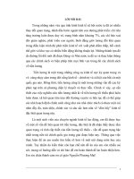 Thị truòng lao động Việt Nam định hướng và phát triển.doc.DOC