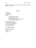 Trình bày các công cụ xúc tiến điện tử.doc