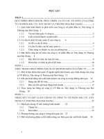 Thực trạng hoạt động sản xuất kinh doanh của công ty Cổ phần Đầu tư, Xây dựng và Thương mại Đại Giang.doc