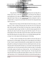 Một số giải pháp nhằm hoàn thiện kênh phân phối của công ty cổ phần thép TVP.docx