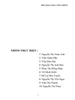 Báo cáo môn khai thác Viễn thông Beeline - Vietnammobile.doc