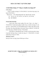 Giới thiệu chung về Công ty cổ phần xây dựng số3.DOC