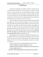 Phân tích tình hình hoạt động sản xuất kinh doanh của công ty Cổ phần may Sài Gòn giai đoạn 2009 - 2010.doc