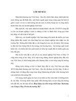 Hoạt động xúc tiến trong chiến lược Markeing của Công ty May 10 trên thị trường Mỹ.docx