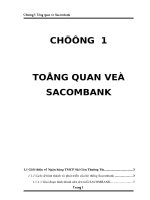 Giới thiệu về Ngân hàng TMCP Sài Gòn Thương Tín.doc