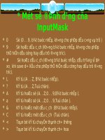 Một số định dạng của InputMask