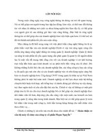 Hoàn thiện cơ cấu bộ máy tổ chức của công ty cổ phần Phạm Nguyễn.DOC