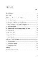 Phân tích chất lượng sản phẩm Việt Nam.doc