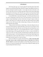 Một số giải pháp nhằm hoàn thiện công tác chăm sóc khách hàng tại công ty cổ phần đầu tư và xnk cà phê tây nguyên.doc