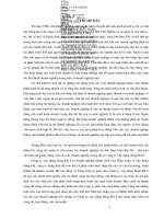 Một số vấn đề về huy động vốn ở Công ty xây dựng Sông Đà 8 - Tổng công ty xây dựng Sông Đà.docx