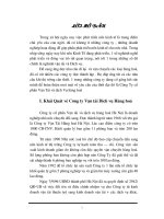 Khái Quát về Công ty Vận tải Dịch vụ Hàng hoá.DOC