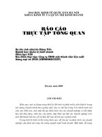 Công ty TNHH một thành viên Sản xuất thương mại và XKLĐ (VINAHANDCOOP).doc