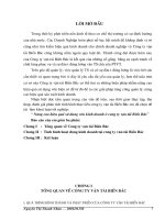 Tình hình hoạt động kinh doanh tại công ty vận tải Biển Bắc.DOC