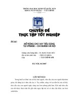 Mở rộng cho vay tiêu dùng tại ngân hàng thương mại cổ phần các doanh nghiệp ngoài quốc doanh – Chi nhánh Hà Nội.doc