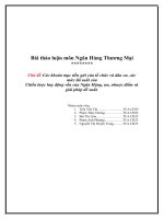 Các khoản mục tiền gửi của tổ chức và dân cư, các mức lãi suất của Chiến lược huy động vốn của Ngân Hàng, ưu, nhược điểm và giải pháp đề xuất.doc