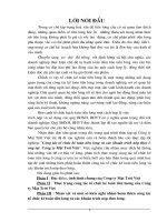 KT tiền lương và các khoản trích theo lương tại cty Mặt Trời Việt