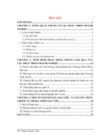 TÌNH HÌNH HOẠT ĐỘNG TRONG NĂM QUA CỦA CỤC PHÁT TRIỂN DOANH NGHIỆP.DOC