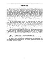 thương mại và các biện pháp phát triển thương mại trong giai đoạn hiện nay (2).DOC