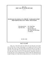 ĐÁNH GIÁ TÁC DỤNG CỦA THUỐC LONG QUY SINH TRÊN BỆNH NHÂN SUY NHƯỢC THẦN KINH.doc