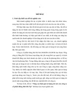 Nâng cao hiệu quả sử dụng tài sản của công ty cổ phần Hàng Hải Hà Nội.docx