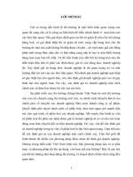 Định giá doanh nghiệp - các vấn đề nan giải ở các DN Việt Nam.docx