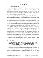 MỘT SỐ GIẢI PHÁP NHẰM NÂNG CAO NĂNG LỰC CẠNH TRANH ĐỐI VỚI KÊNH PHÂN PHỐI BÁN LẺ CỦA CÔNG TY DƯỢC SÀI GÒN – SAPHARCO.doc