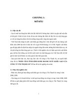 Phân tích tình hình kinh doanh xuất khẩu gạo của công ty tân thạnh an.doc