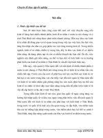 Một số giải pháp phát triển kinh tế tư nhân trong thời gian tới của tỉnh Thái Bình.doc