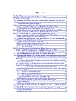 Đầu tư phát triển Khu kinh tế Dung Quất. Thực trạng và giải pháp.DOC