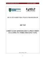 Chiến lược kinh doanh và phát triển của công ty tnhh ánh sáng vàng.pdf