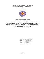 MỘT SỐ GIẢI PHÁP XÂY DỰNG CHÍNH SÁCH TÍN DỤNG THÍCH HỢP TẠI NGÂN HÀNG TIÊN PHONG- CHI NHÁNH HỒ CHÍ MINH.doc