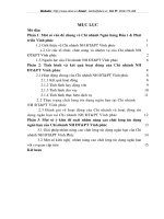 Tình hình và kết quả hoạt động của Chi nhánh NH ĐT&PT Vĩnh phúc.DOC