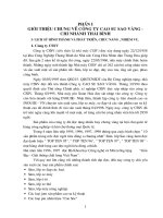 GIỚI THIỆU CHUNG VỀ CÔNG TY CAO SU SAO VÀNG - CHI NHÁNH THÁI BÌNH.DOC