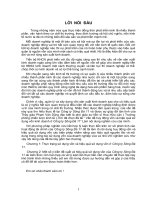 Mộtt số ý kiến đề xuất và hiệu quả sử dụng vốn của Công ty Sông Đà 11.doc