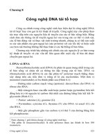 Công nghệ tế bào C8