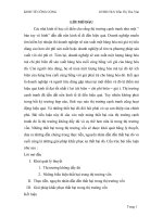 kinh tế công - hàng hóa công thông tin không đầy đủ trong thị trường vốn.doc