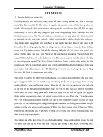 Đầu tư trực tiếp nước ngoài tại tỉnh Phú Thọ Thực trạng và giải pháp.doc