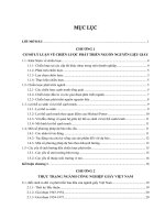 Chiến lược phát triển nguồn nguyên liệu giấy Việt Nam.pdf