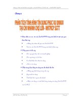 PHÂN TÍCH TÌNH HÌNH TÍN DỤNG DNNVV TẠI CHI NHÁNH CHỢ NHTMCP.doc