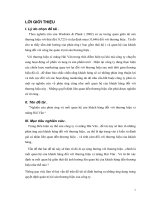 Nghiên cứu phản ứng và mối quan hệ của khách hàng đối với thương hiệu xi măng hải vân.doc