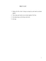 Những vấn đề cơ bản về nâng cao năng lực cạnh tranh của doanh nghiệp.DOC