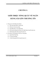 Giới thiệu tổng quan về ngân hàng Sài Gòn Thương Tín.doc