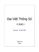 Đại Việt thông sử