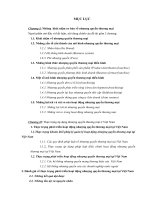 Một số giải pháp nhằm thúc đẩy phát triển nhượng quyền thương mại ở Việt Nam.doc