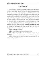 Hoàn thiện chiến lược phát triển thị trường của Tổng công ty cổ phần đệt may Hà Nội.DOC